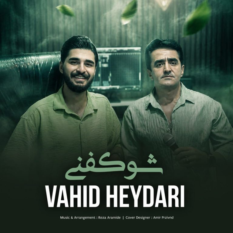 دانلود آهنگ شو کفنی از وحید حیدری